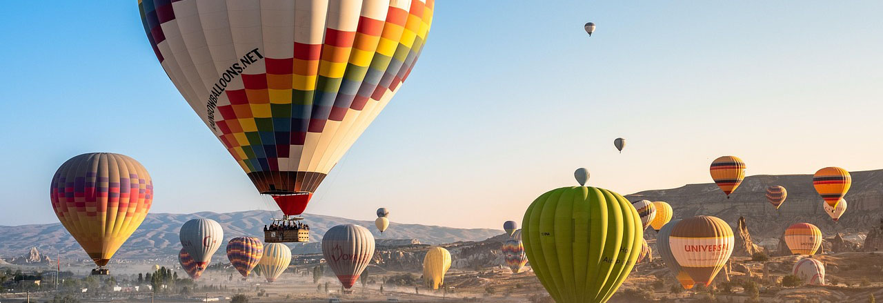 Elderberry farm landscape